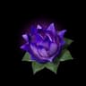 Carrying Lotus (S)