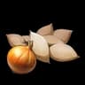 Onion Seeds