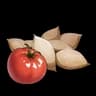 Tomato Seeds